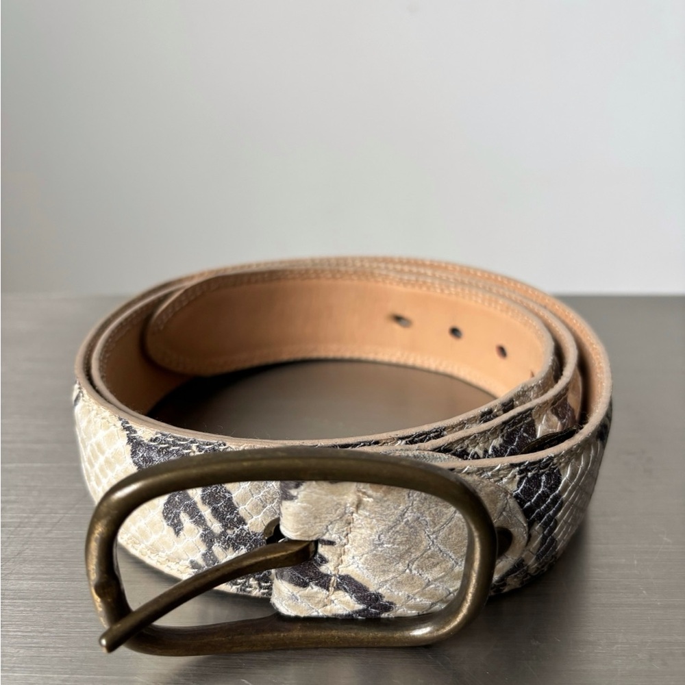 Roberto Cavalli Snake Print Belt with Brass Buckle